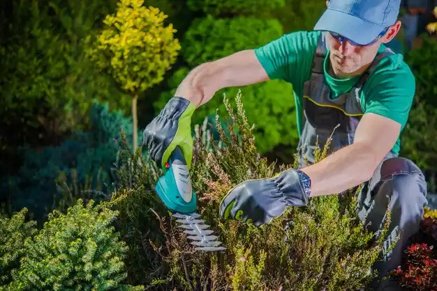landscaping services Beech Grove